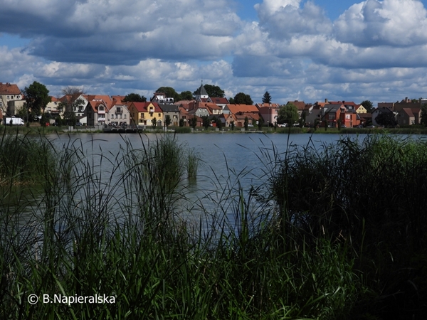 Miedzychód